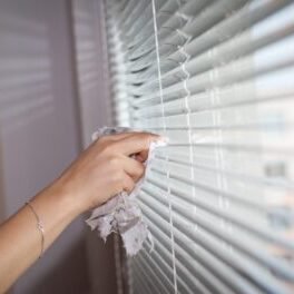 blinds, hands, cleaning, female, clean, window, household chores, cleaner, home, rag, cleaning service, woman, domestic, labor, maid, housekeeping, professional, cleaning service, cleaning service, cleaning service, cleaning service, cleaning service